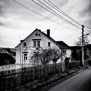 Blick aus meinem Küchenfenster