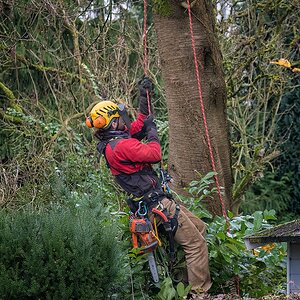 Der Aufstieg beginnt...