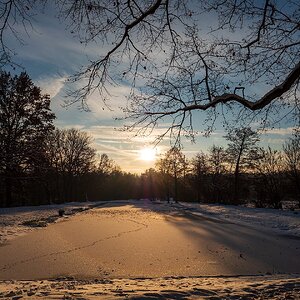 16.12.2022 im Park von Schloß Favorite (Rastatt)