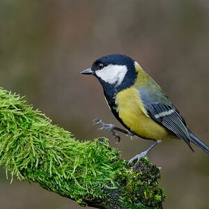 Etwas unsicher.......?