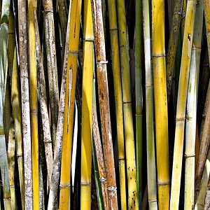 ... #2 ... Durchblick