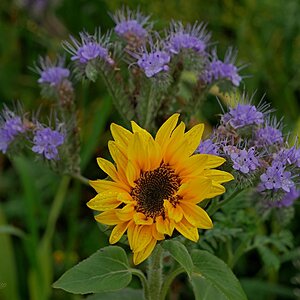 Umkränzt im November