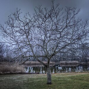 wohl das letzte Bild...