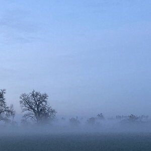 Am Tag als der Nebel kam