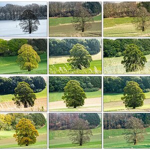 Tableau 2025 - das Jahr komplett