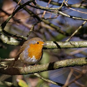 Sonniges Plätzchen.