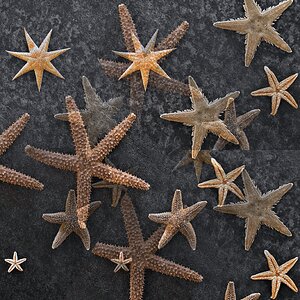 ... vom anderen Stern