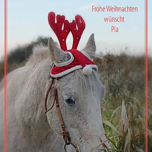 Frohe Weihnachten!