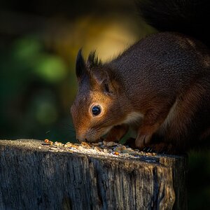 Hhhmmm...es riecht schon nach Weihnachten...