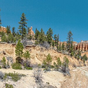 Bryce Canyon