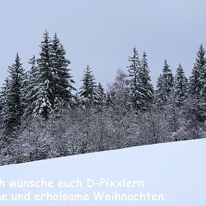 Frohe Weihnachten