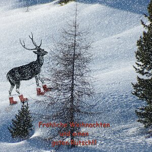 Fröhliche Weihnacht