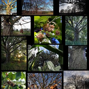 Dorfbuche_2025 - im Lauf des Jahres