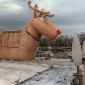 Rudi bleibt ....  (2)