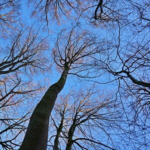 Vom Schatten ins Licht.