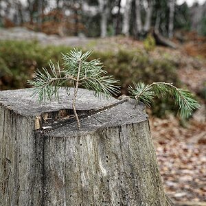 Das Leben geht weiter