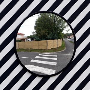 Im Zeichen des Zebras