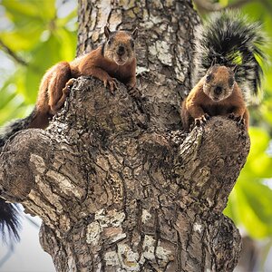 Rueckblick auf`s alte Jahr