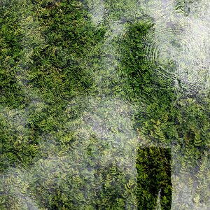 Der den Bach fotografiert