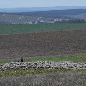 Winteridyll - ohne Schnee .jpg