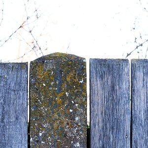 Medium 'Gartenzaun' in der Kategorie 'Minimalismus'