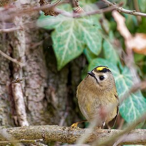 Glück gehabt.......