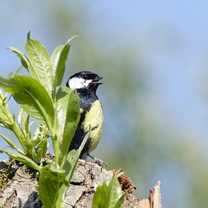 Ein gutes neues Jahr