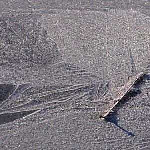 Schmetterling - - - [Nr.6 KW 25/52]