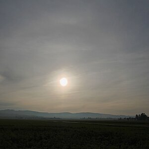 Sonne mit Halo und Nebensonne - - - [Nr.7 KW 25/52]