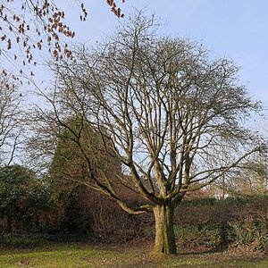 In der Dezembersonne