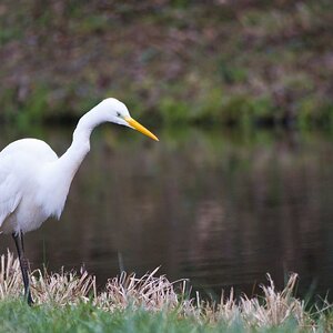 Ob es hier wohl Fische gibt?