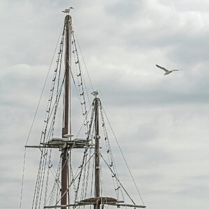 Reisende soll man nicht aufhalten