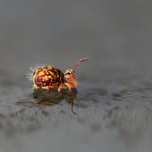 Ich brauche Gummistiefel....