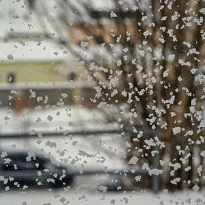 Blick durch mein Küchenfenster