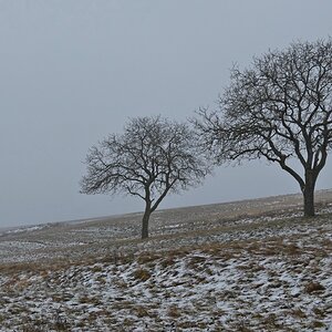 Schneepracht - Ade.jpg