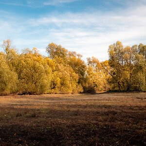 Naturschutzgebiet Kühkopf im Winterhalbjahr