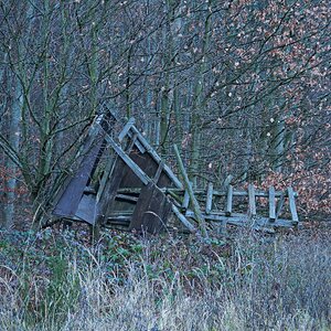 Die Rache der Schwarzkittel