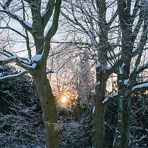 Winter-Sonnenuntergang