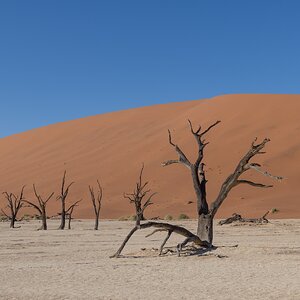 Deadvlei....