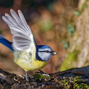 Ready to take off......