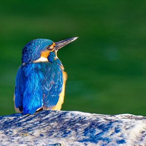 Zu schön um nicht zu zeigen.