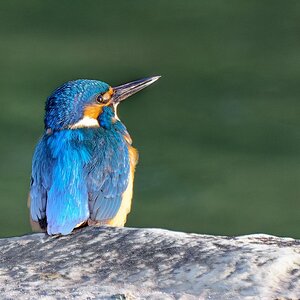 Zu schön um nicht zu zeigen.      Korrektur nach Reaktion von "lichtjahr21"