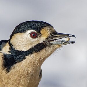 Zahn abgebrochen......hihi