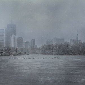 Fifty shades of gray ...  und Schnee