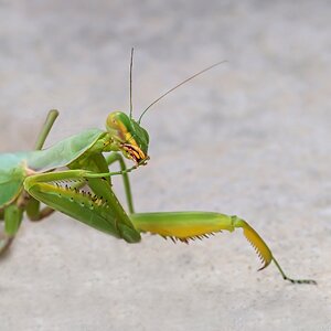 Bist Du jetzt nah genug??