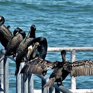 Einfach mal abhängen