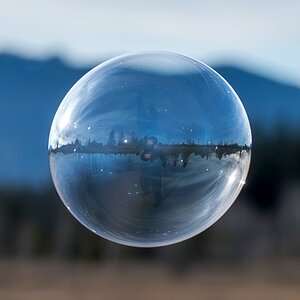 Hege in der Blase  :-)