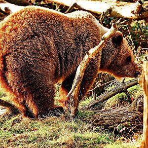 "Schöner Rücken..."