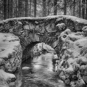 Eidechsenbrücke [2]