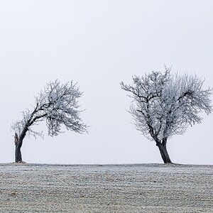 und wie gehts dir so?